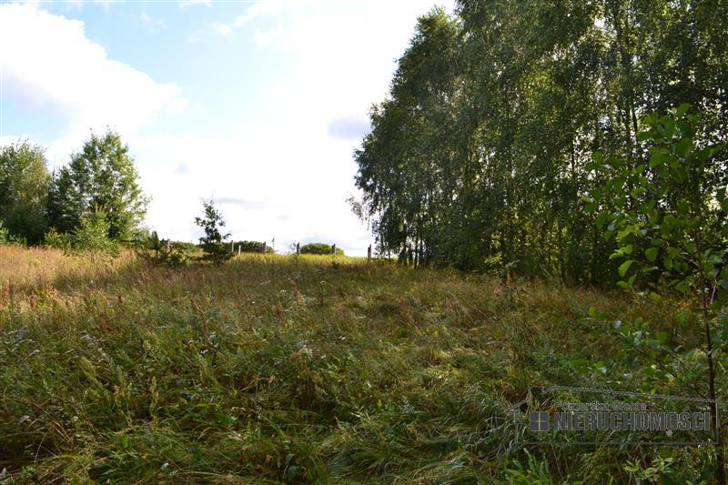 Sprzedaż Działka Przyjezierze