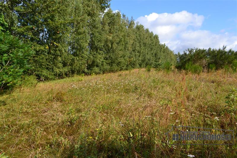 Sprzedaż Działka Przyjezierze