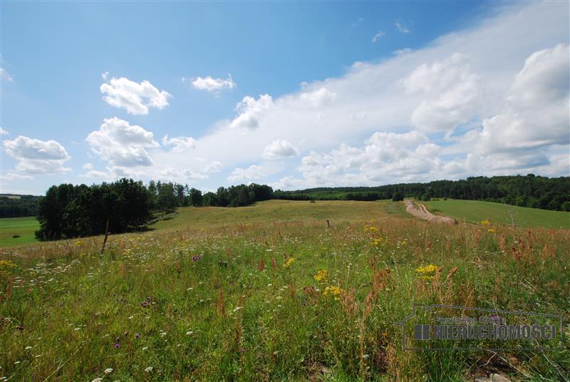 widok na działkę