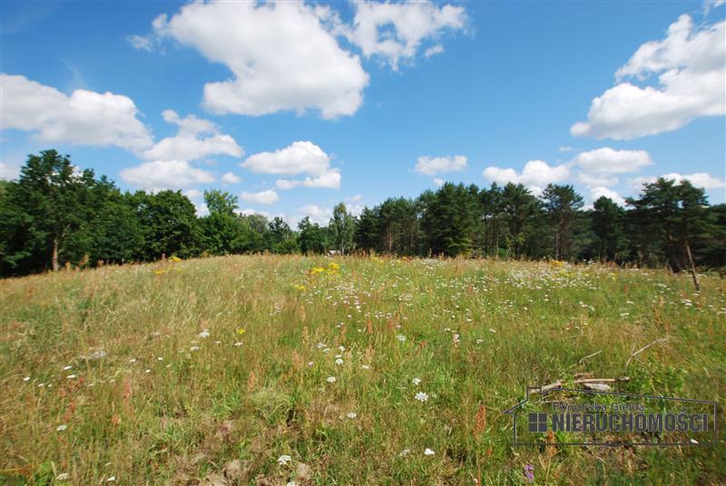 widok na działkę
