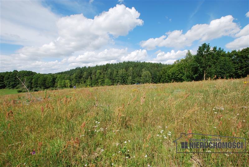 widok na działkę