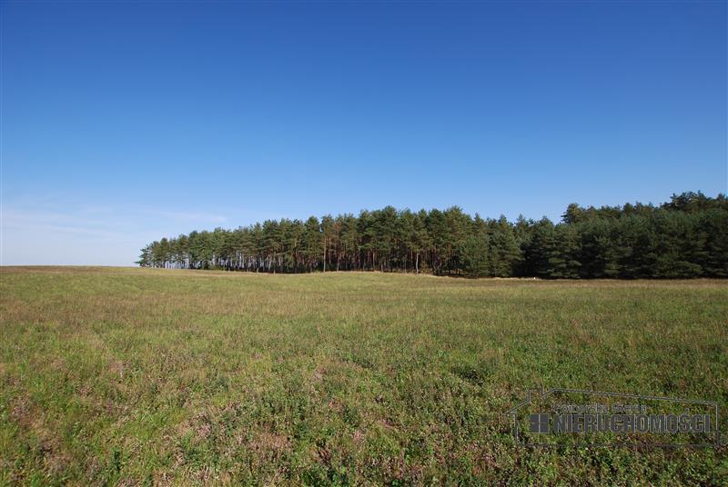 orientacyjne położenie działek