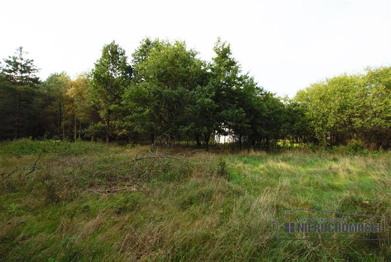 Sprzedaż Dom rekreacyjny Sadkowo