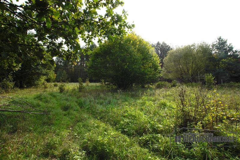 Sprzedaż Dom rekreacyjny Sadkowo
