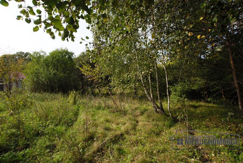 Sprzedaż Dom rekreacyjny Sadkowo