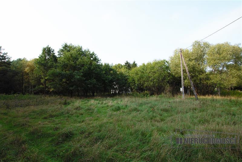 Sprzedaż Dom rekreacyjny Sadkowo