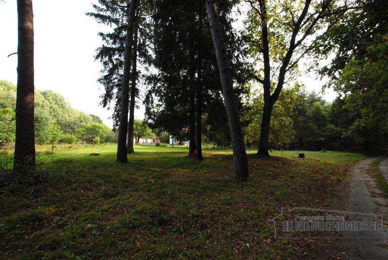 Sprzedaż Dom rekreacyjny Sadkowo