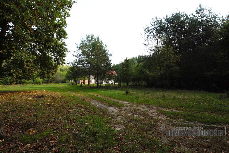 Sprzedaż Dom rekreacyjny Sadkowo