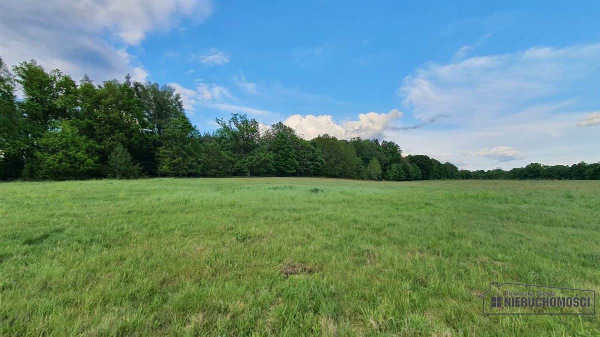 Sprzedaż Działka rolna Pobądz