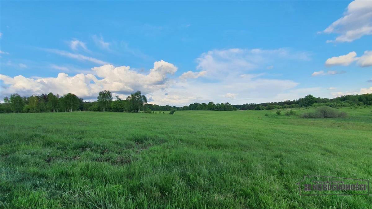 Sprzedaż Działka rolna Pobądz