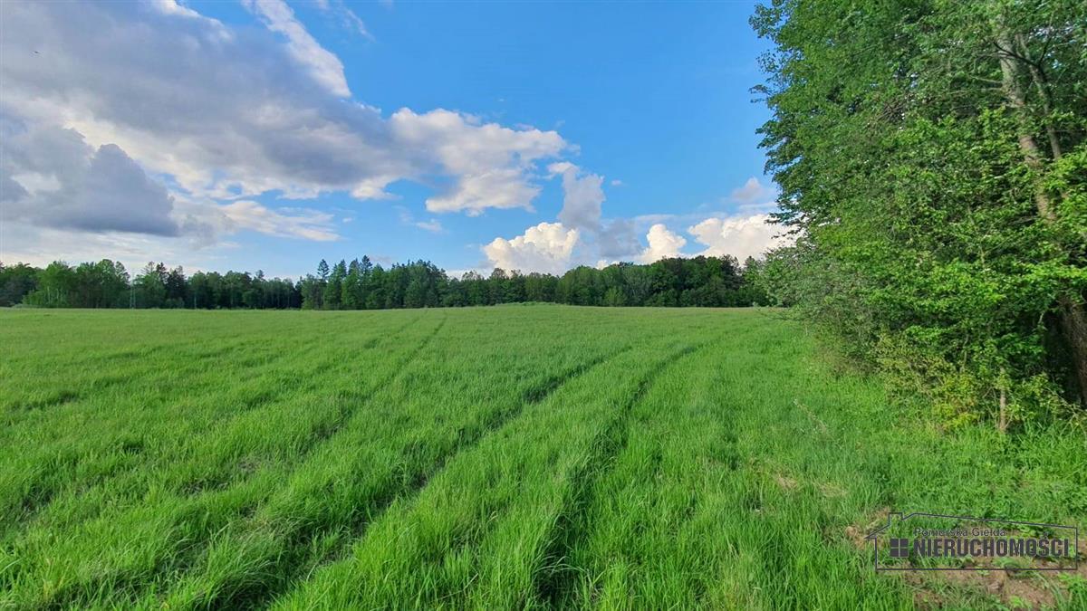 widok na kompleks działek