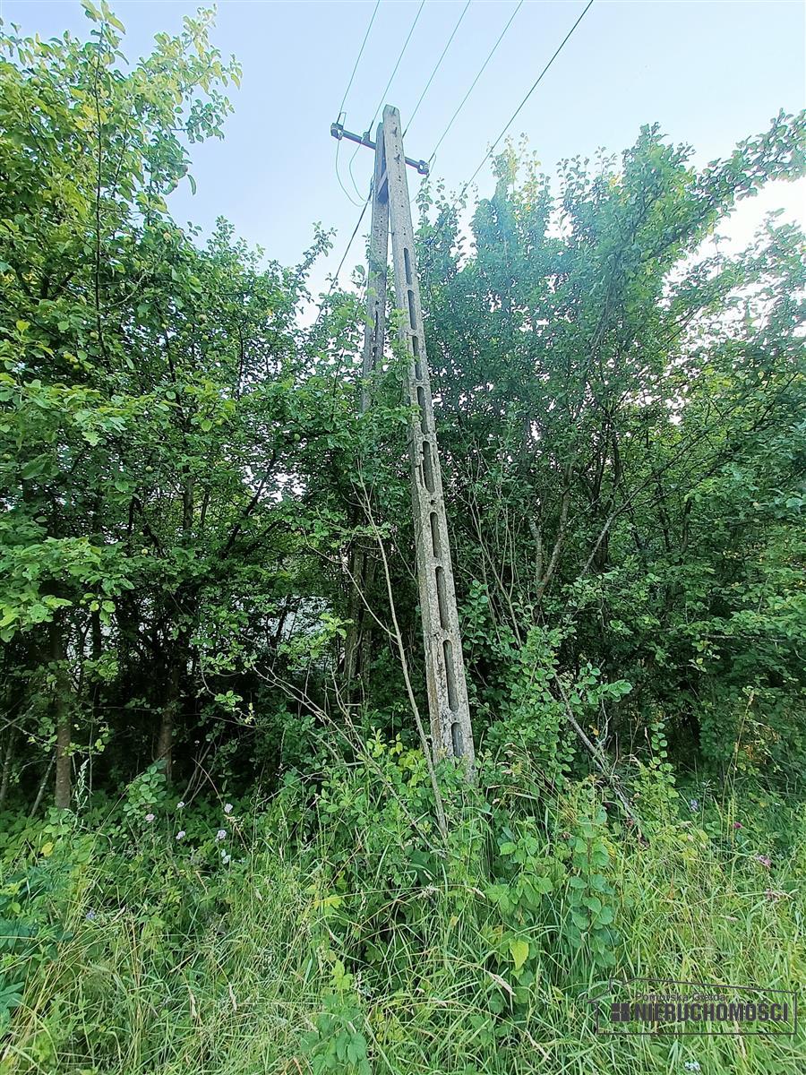 Sprzedaż Dom wolnostojący Czechy