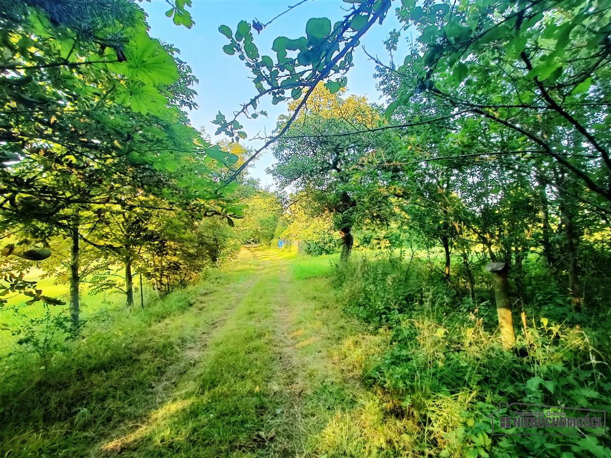 Sprzedaż Dom wolnostojący Czechy