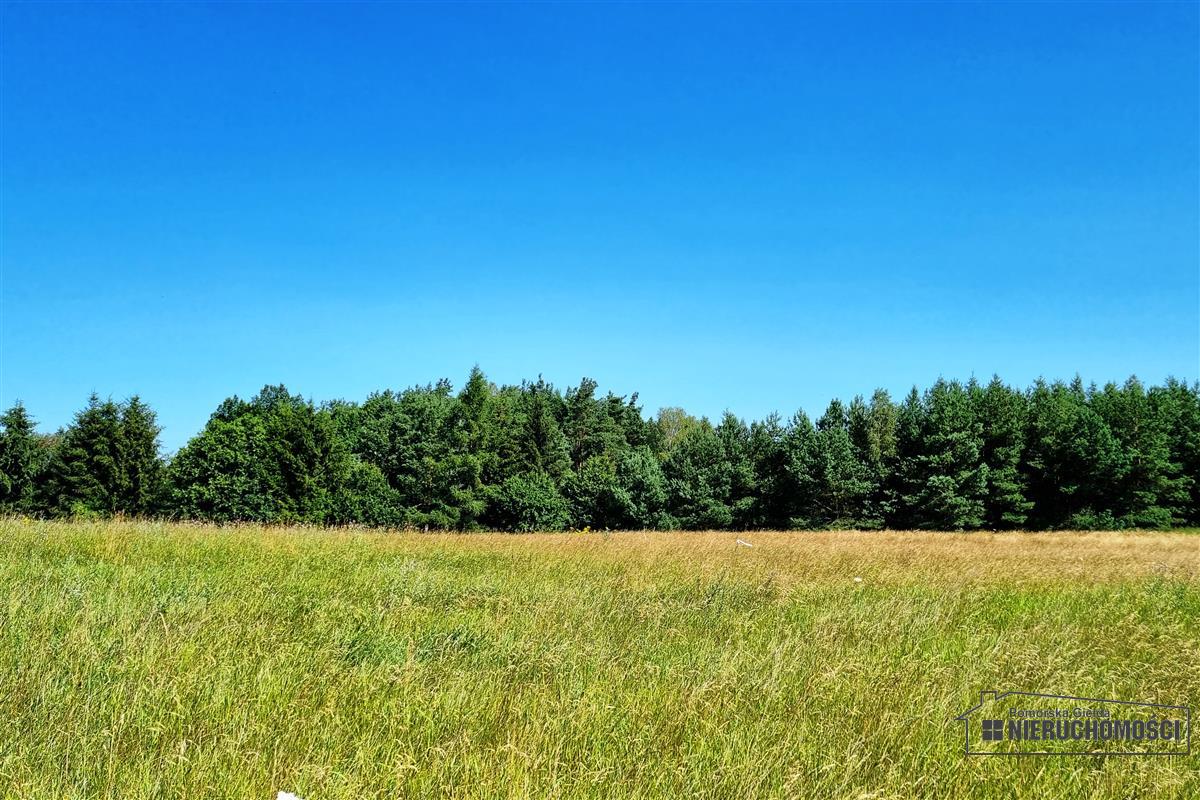 Sprzedaż Działka budowlana Turowo