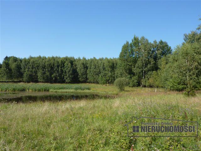 widok na staw