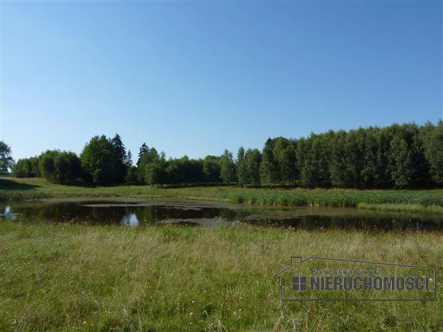 widok na staw