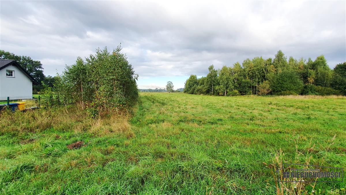 Sprzedaż Działka budowlana Kościernica