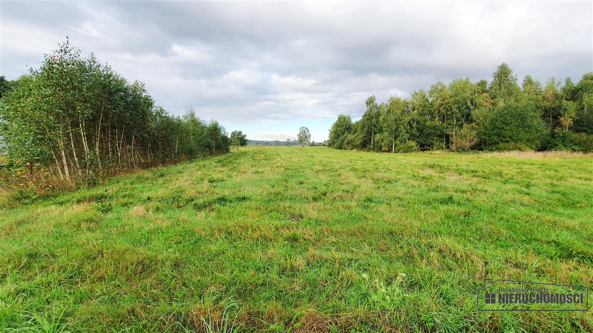 Sprzedaż Działka budowlana Kościernica
