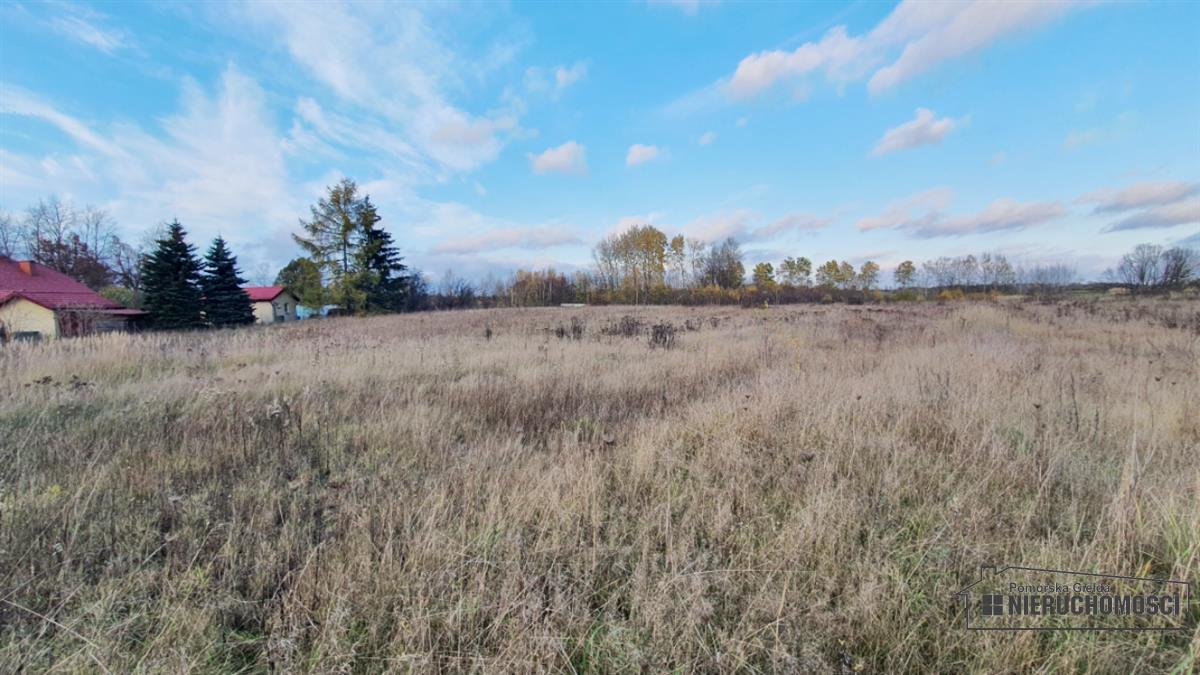 Sprzedaż Działka budowlana Silnowo