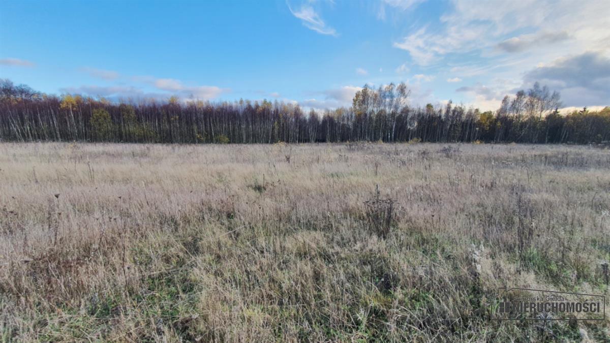 Sprzedaż Działka budowlana Silnowo