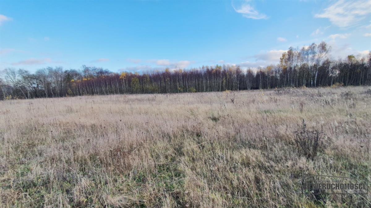 Sprzedaż Działka budowlana Silnowo