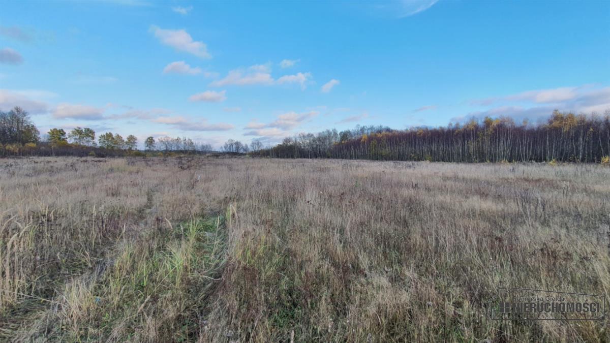 Sprzedaż Działka budowlana Silnowo