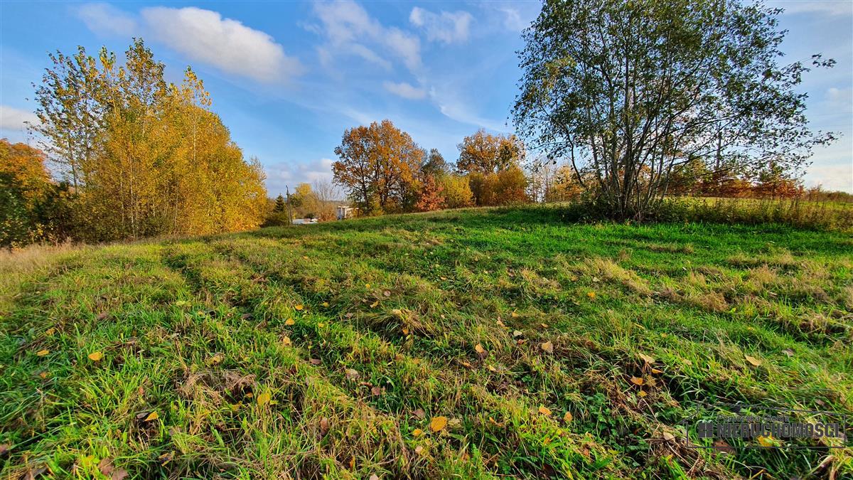 Sprzedaż Działka budowlana Głodowa