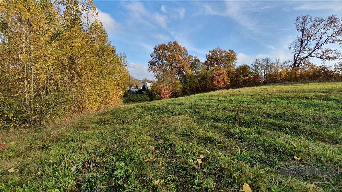 Sprzedaż Działka budowlana Głodowa