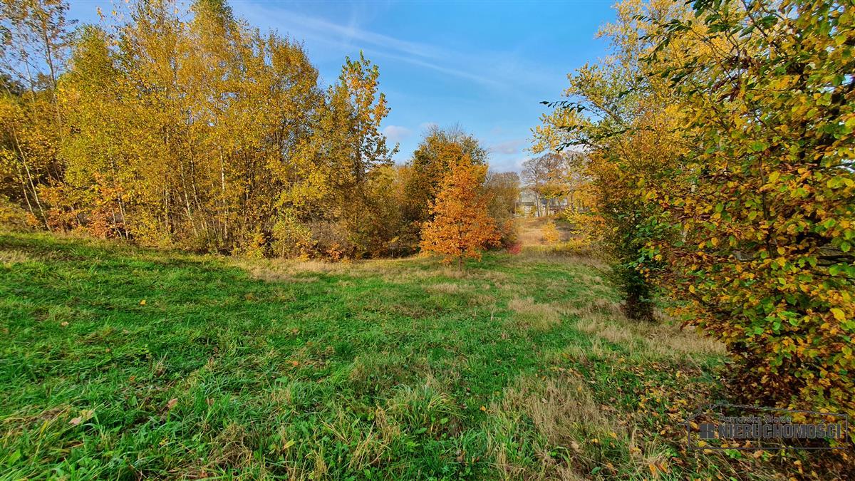 Sprzedaż Działka budowlana Głodowa