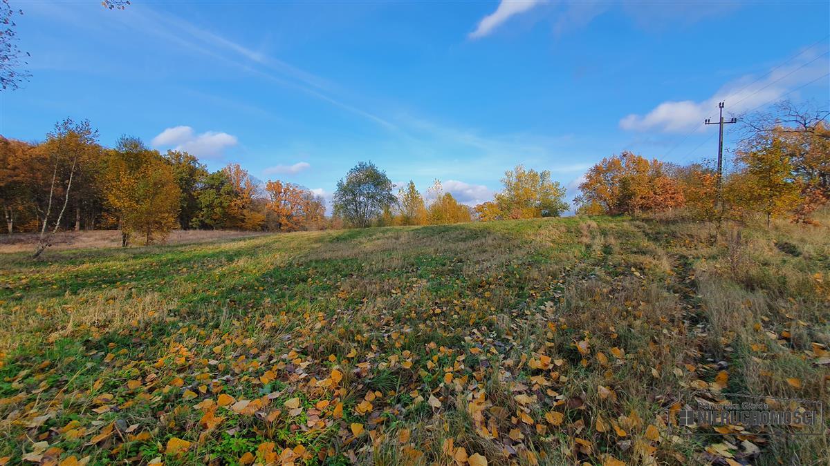 Sprzedaż Działka budowlana Głodowa