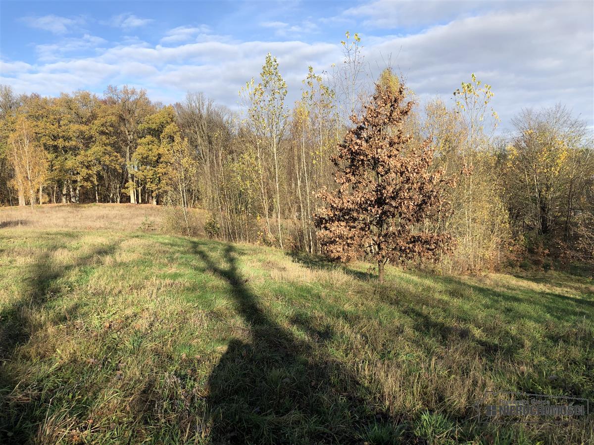 Sprzedaż Działka budowlana Głodowa