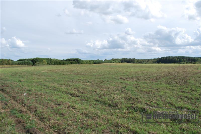 widok na działki