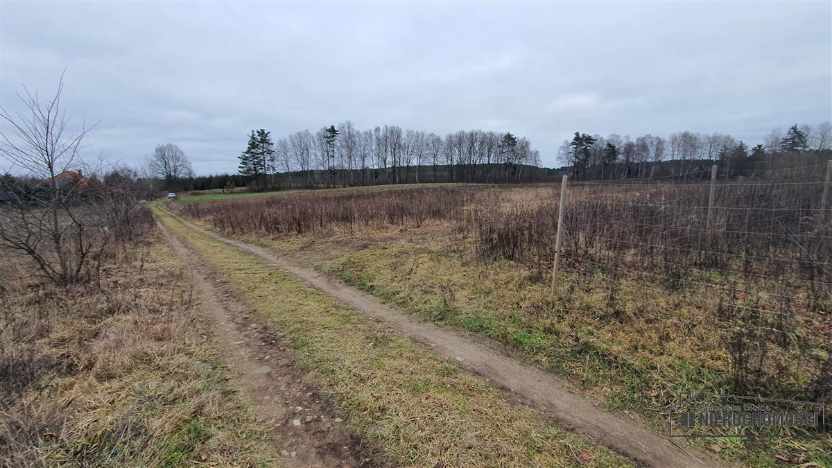 widok na działkę