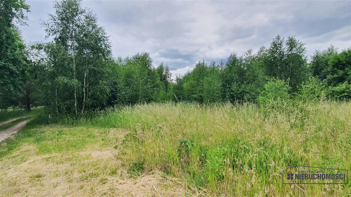 Sprzedaż Działka rekreacyjna Silnowo