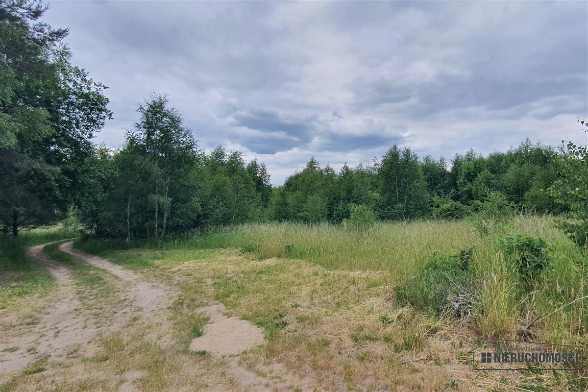 Sprzedaż Działka rekreacyjna Silnowo