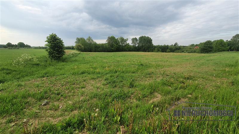 Sprzedaż Działka siedliskowa Silnowo