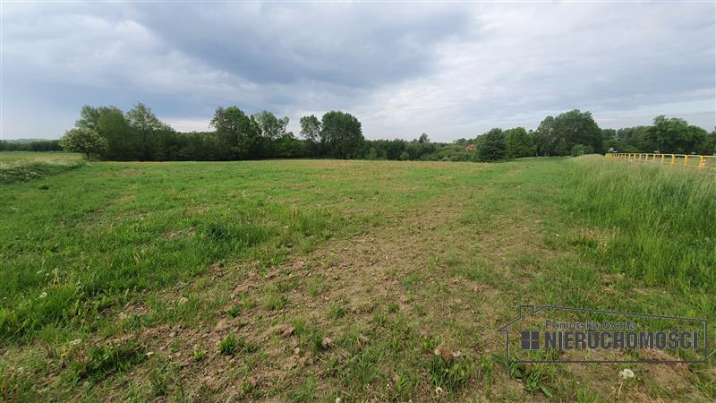 Sprzedaż Działka siedliskowa Silnowo