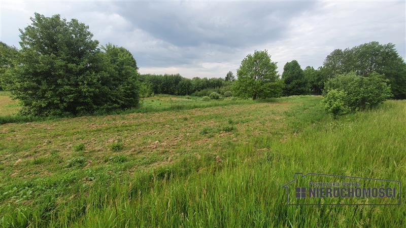 Sprzedaż Działka siedliskowa Silnowo