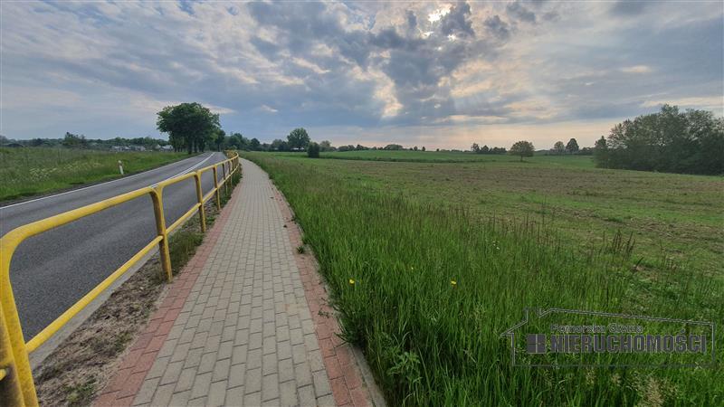 Sprzedaż Działka siedliskowa Silnowo