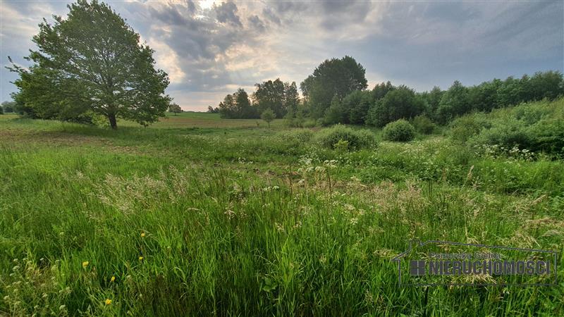 Sprzedaż Działka siedliskowa Silnowo