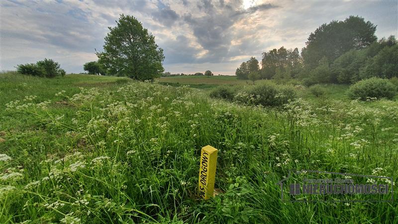 Sprzedaż Działka siedliskowa Silnowo