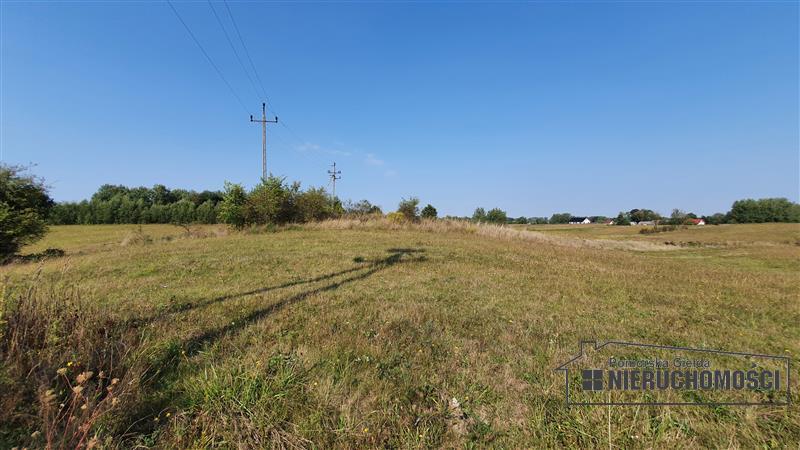 Sprzedaż Działka rolna Zagozd