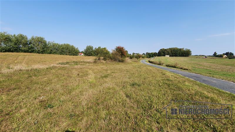Sprzedaż Działka rolna Zagozd