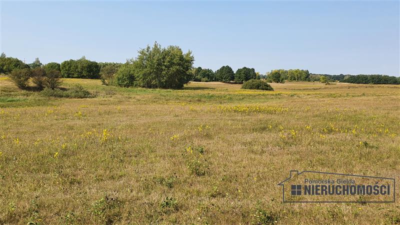 Sprzedaż Działka rolna Zagozd