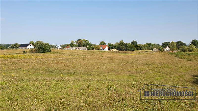 Sprzedaż Działka rolna Zagozd