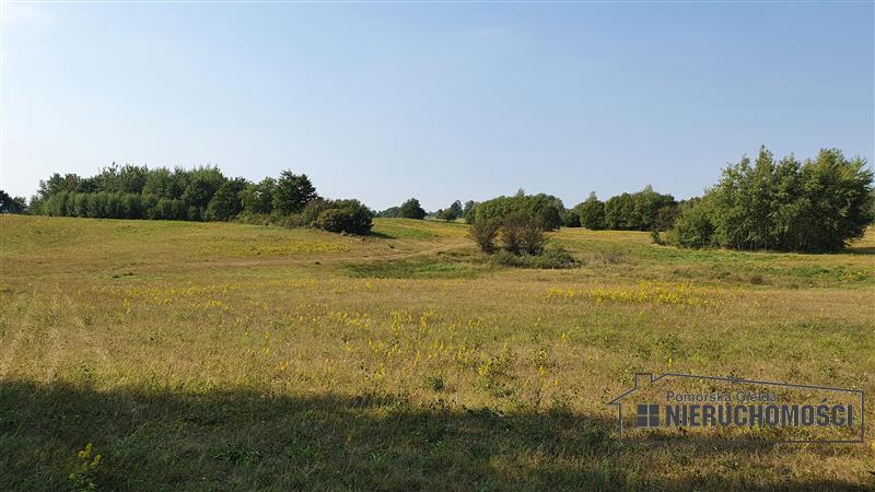 Sprzedaż Działka rolna Zagozd