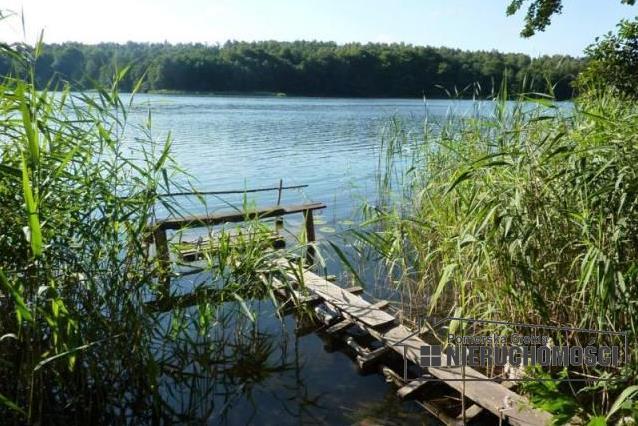 Sprzedaż Działka rolna Zagozd