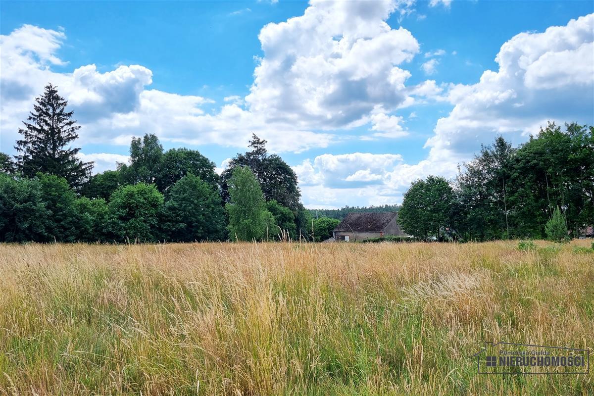 Sprzedaż Działka budowlana Kowalki