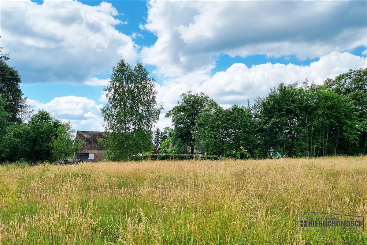 Sprzedaż Działka budowlana Kowalki