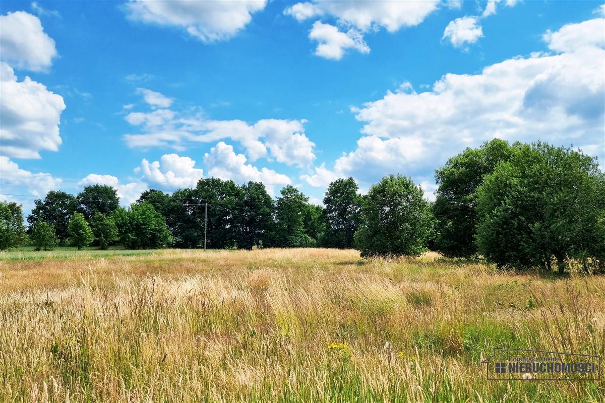 Sprzedaż Działka budowlana Kowalki
